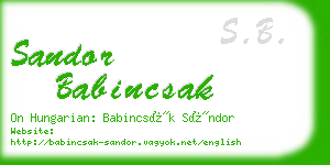 sandor babincsak business card